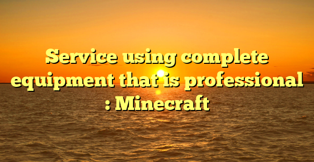 Service using complete equipment that is professional : Minecraft