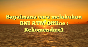 Bagaimana cara melakukan BNI ATM Offline : Rekomendasi1