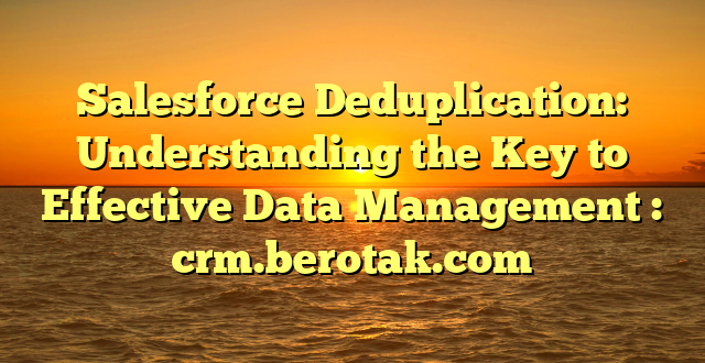 Salesforce Deduplication: Understanding the Key to Effective Data Management : crm.berotak.com